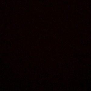 Meet your Posher, Martha